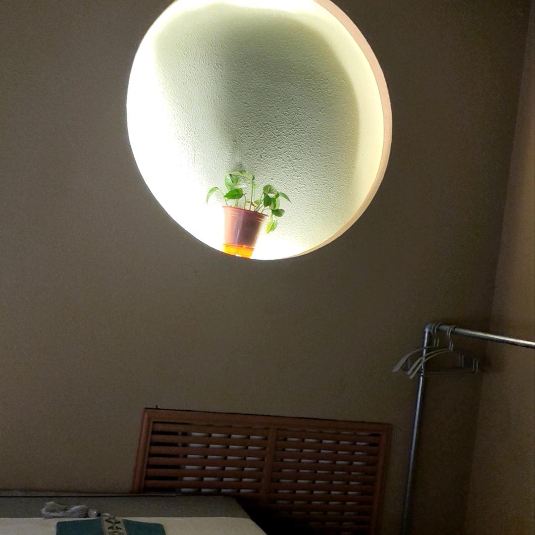 躺平又躺不平