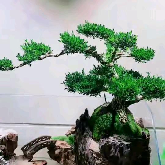 山江