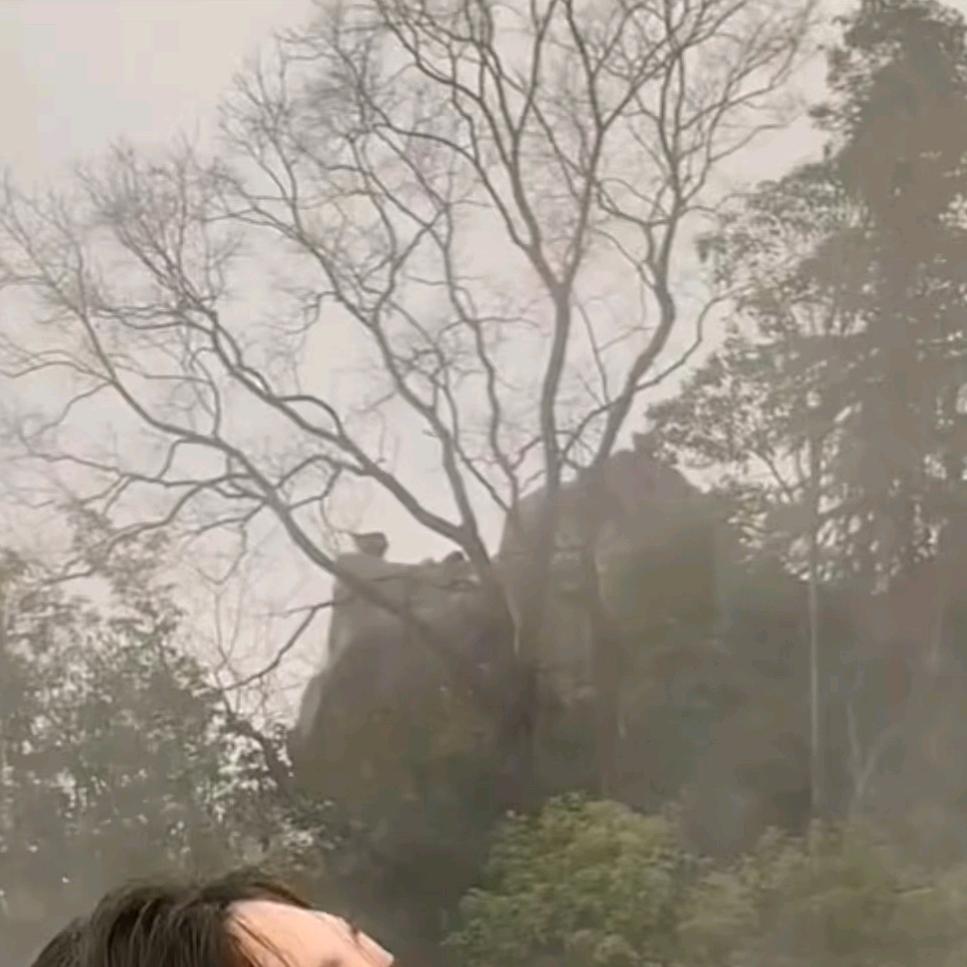 春春姐。
