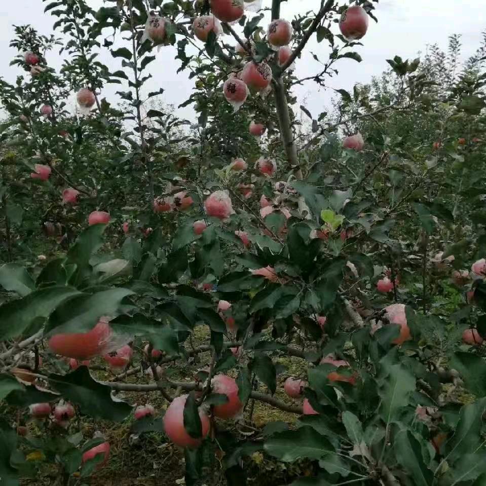 用户淋雨的感觉