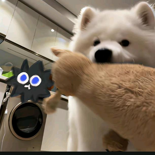 AN