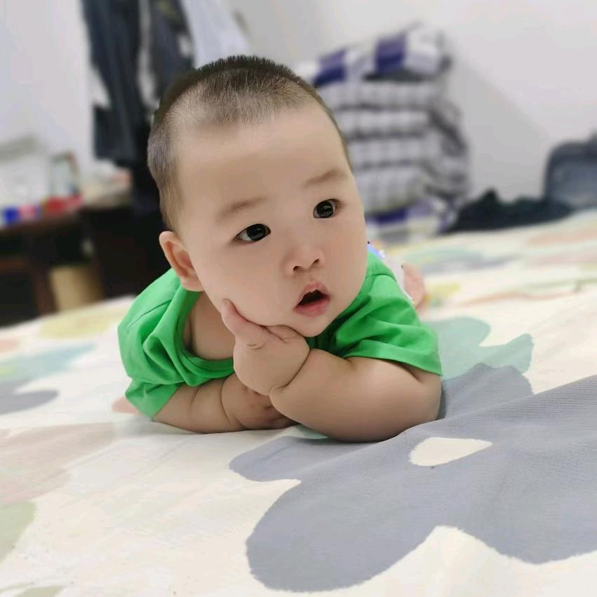 陕西阎良甜瓜蔬菜代理