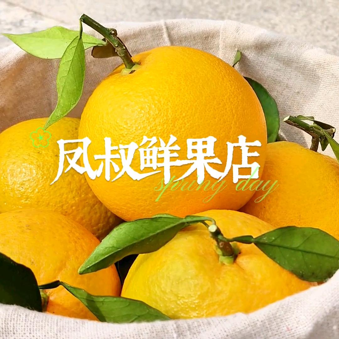 凤叔鲜果店
