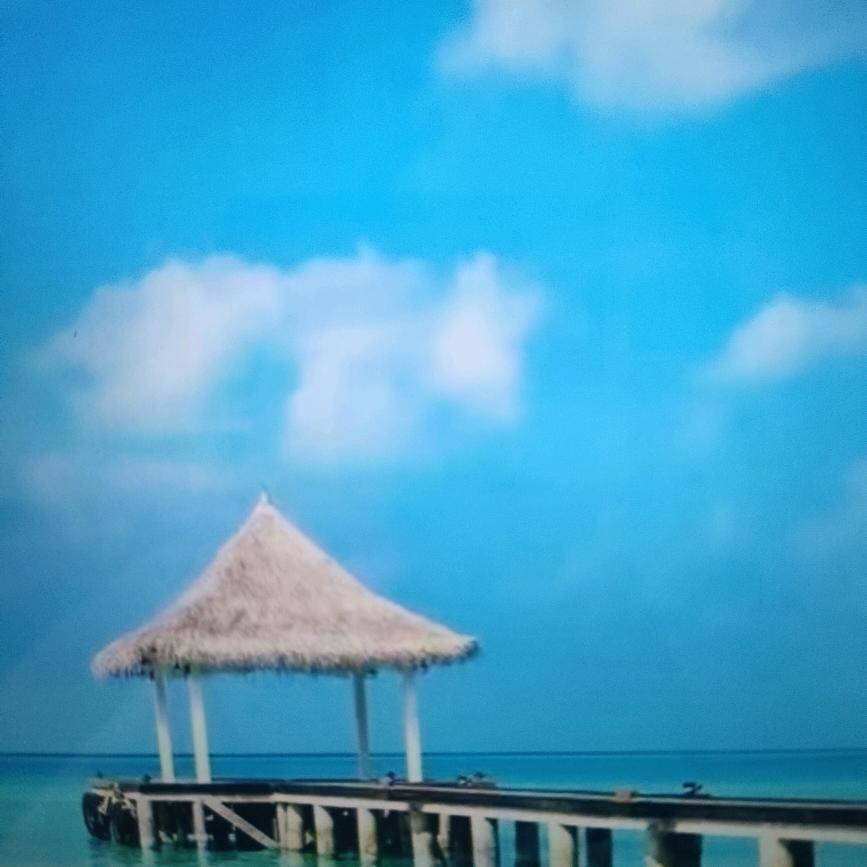 流年如歌