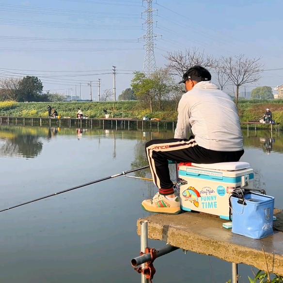 阿正钓鱼直播