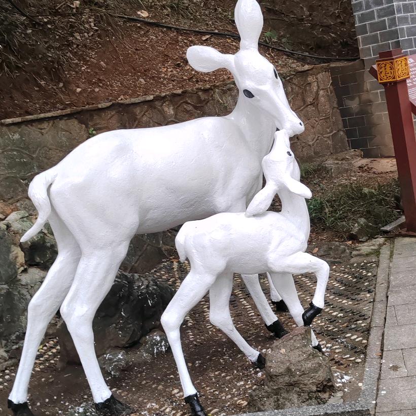 静心  自观
