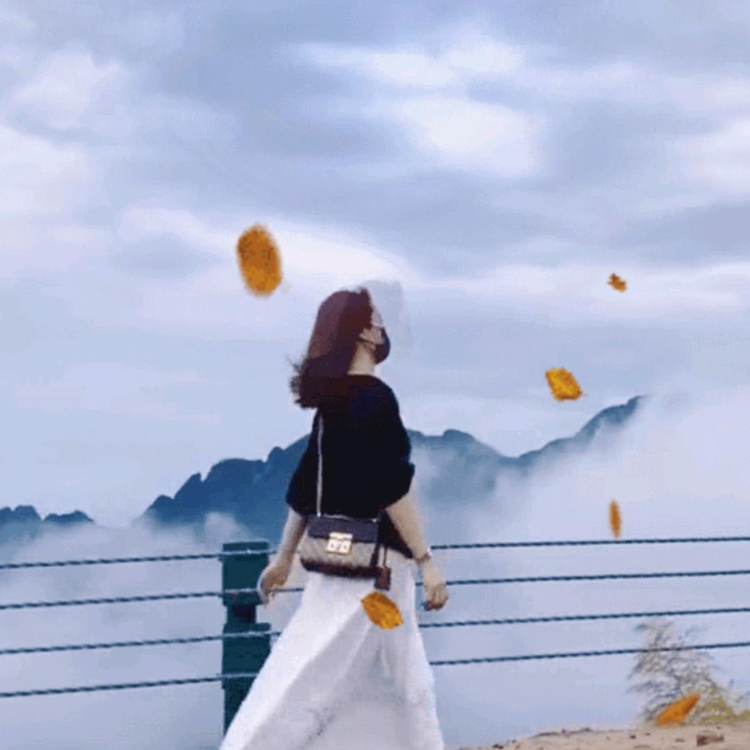 珍珍