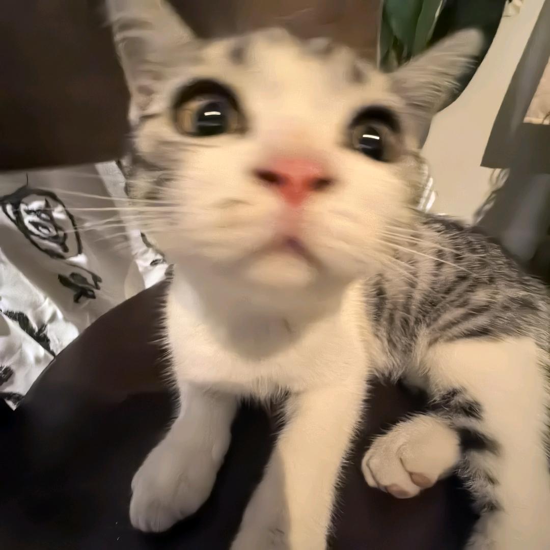 徐不饿（早睡早起版）