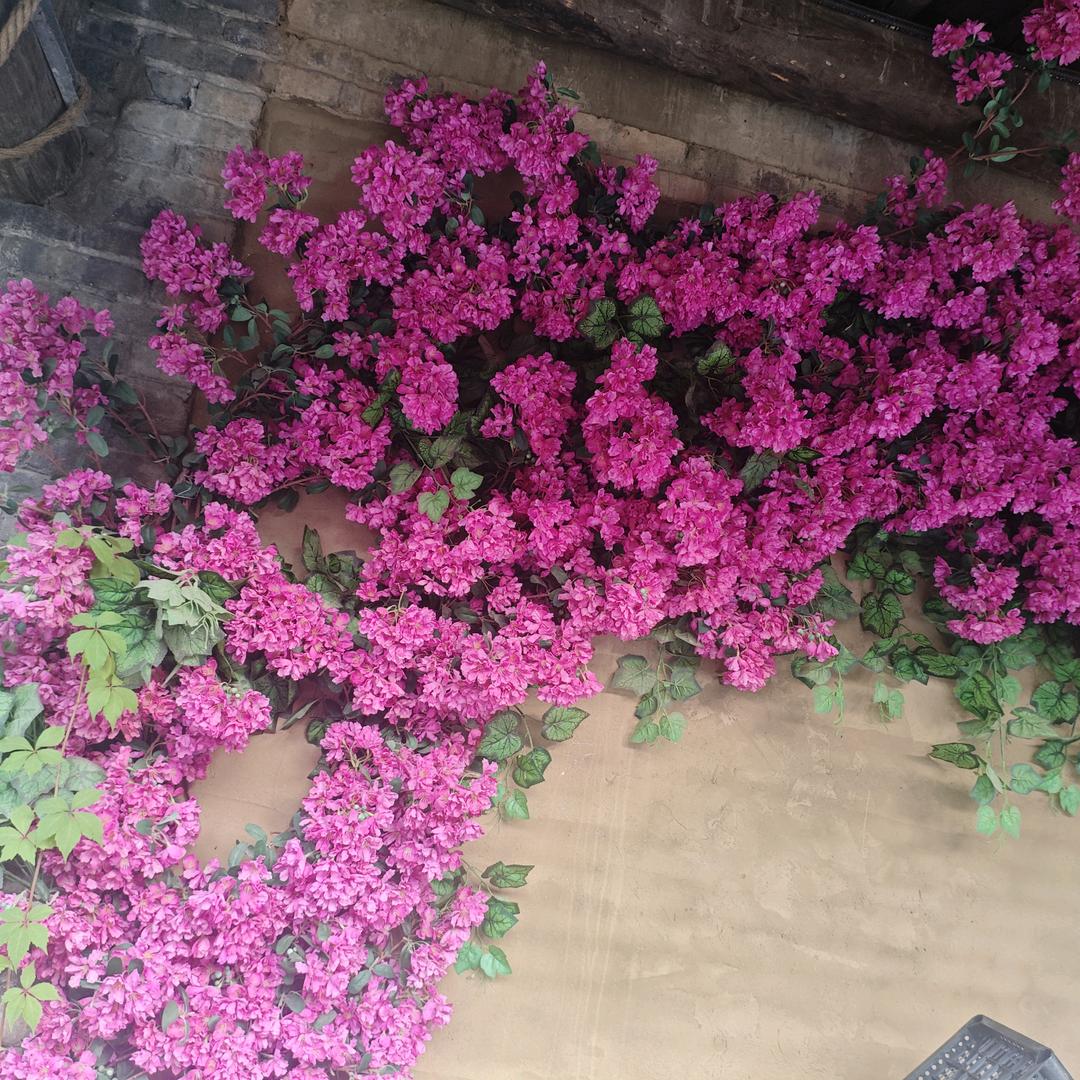 纯静
