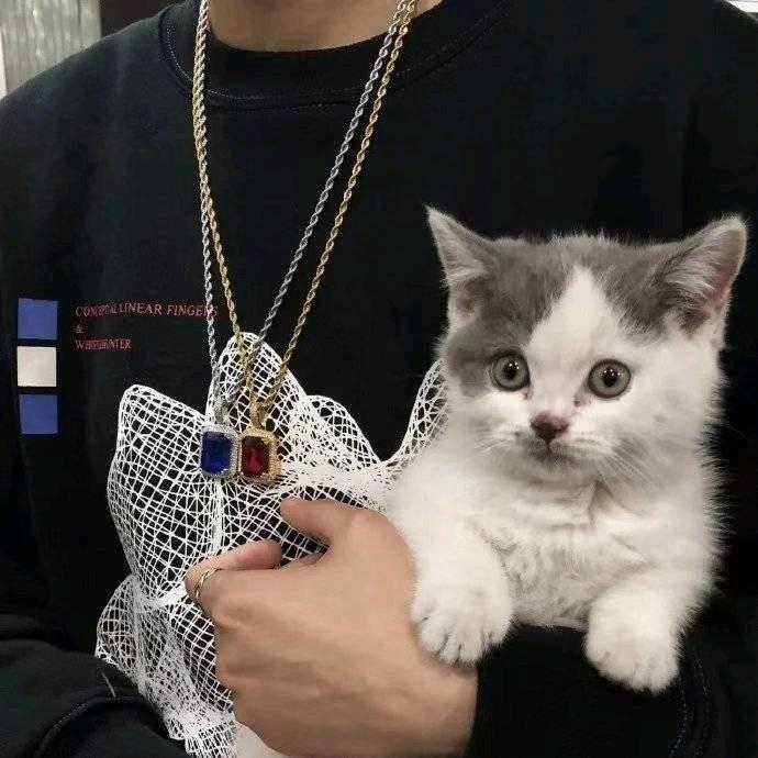 小付