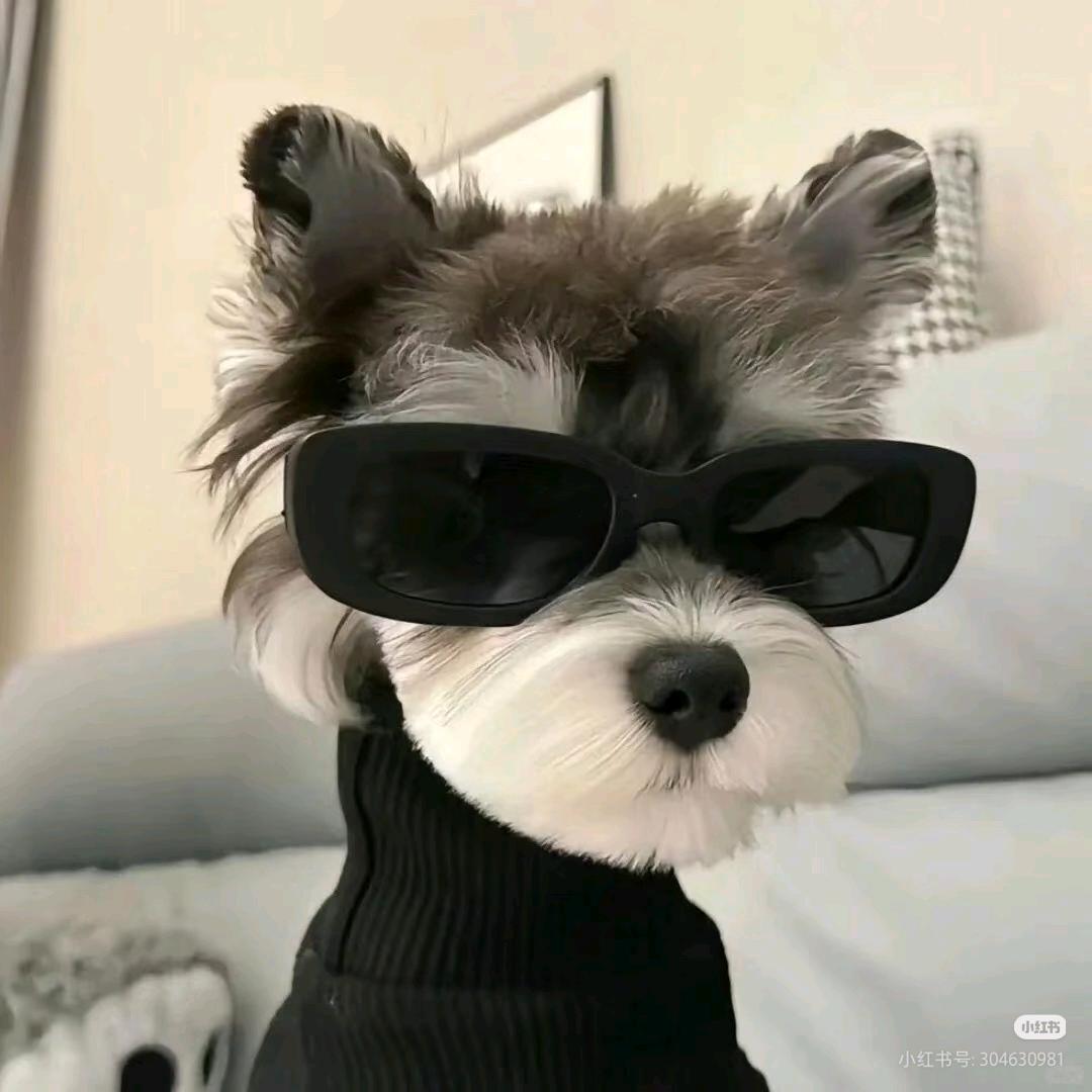 Folykiki