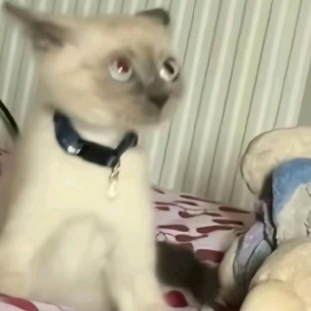 5500