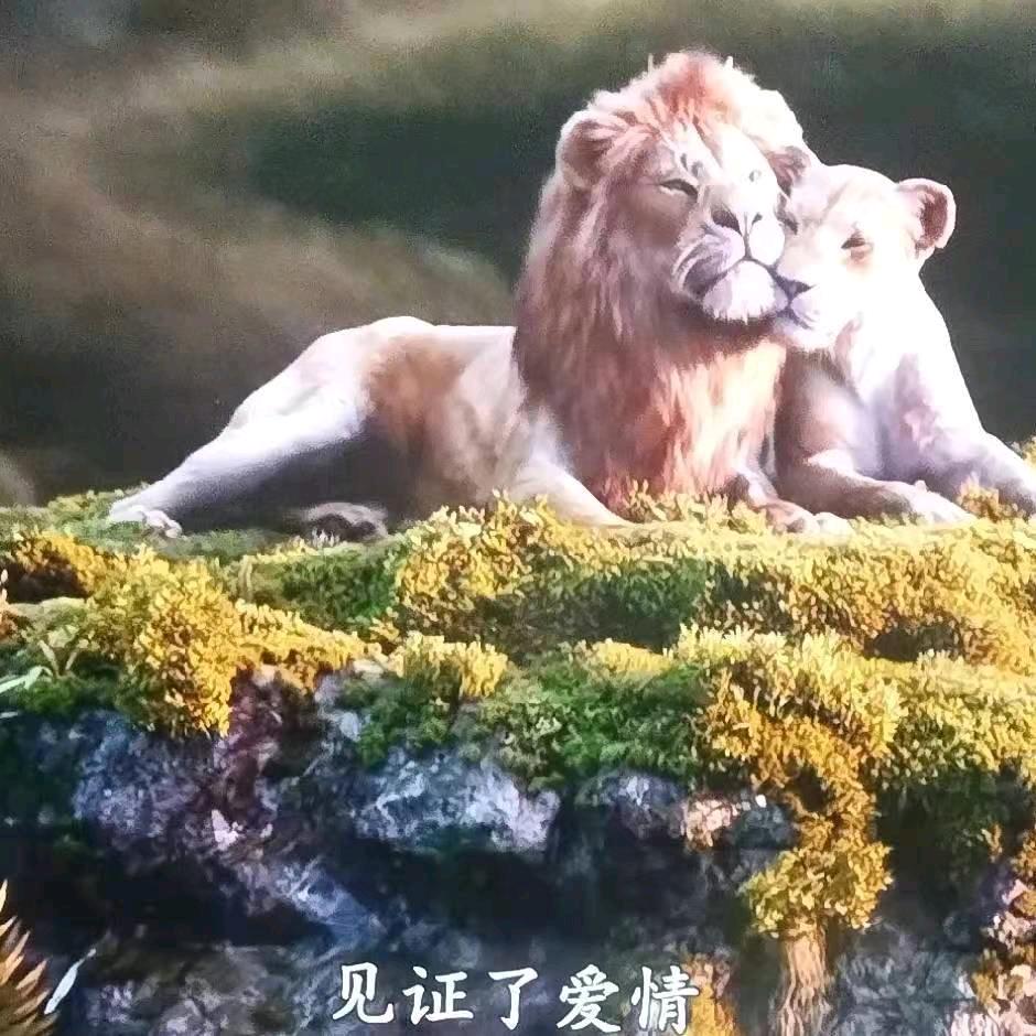 开心快乐一家人