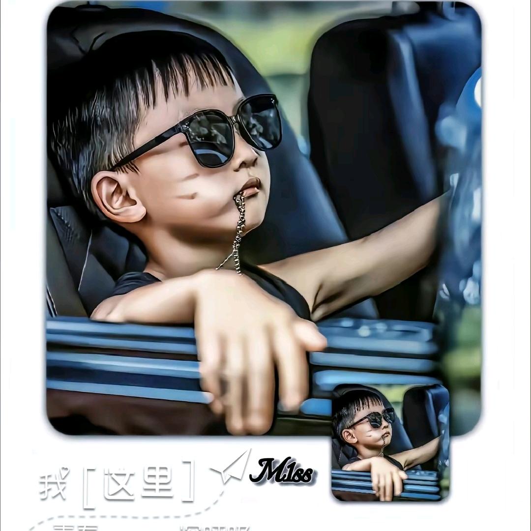 寻海的鸽子