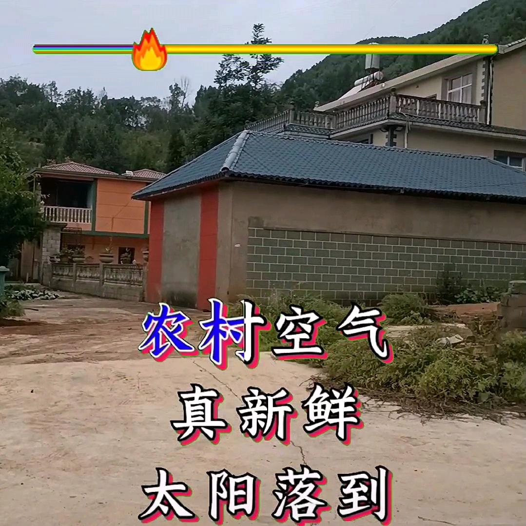 王启彩