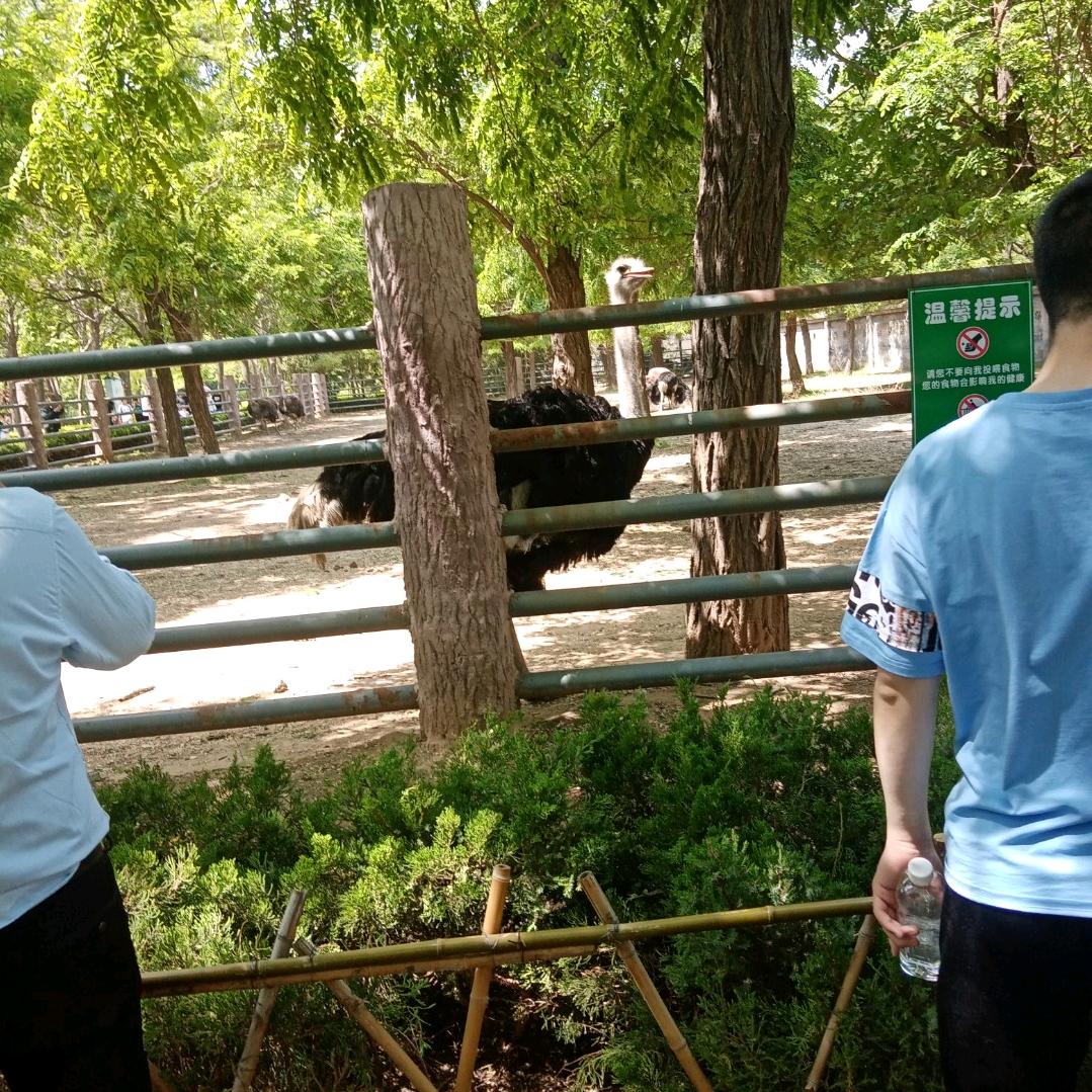 用户小哥俩的老妈