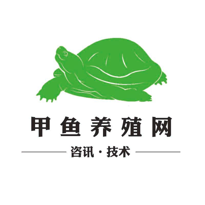 甲鱼养殖网