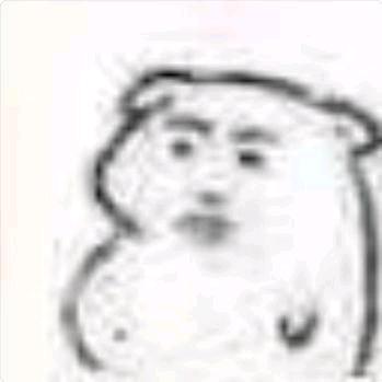 AAA肥肉批发昊哥