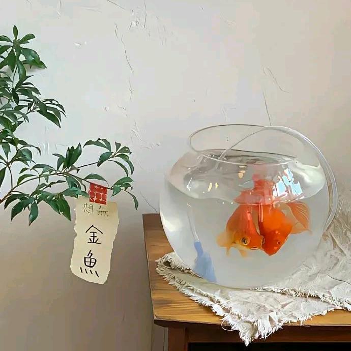昵称加载中