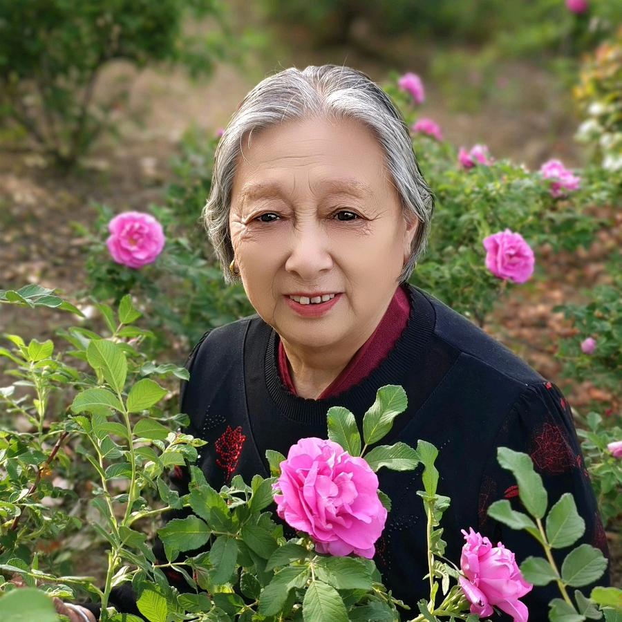 迎春花