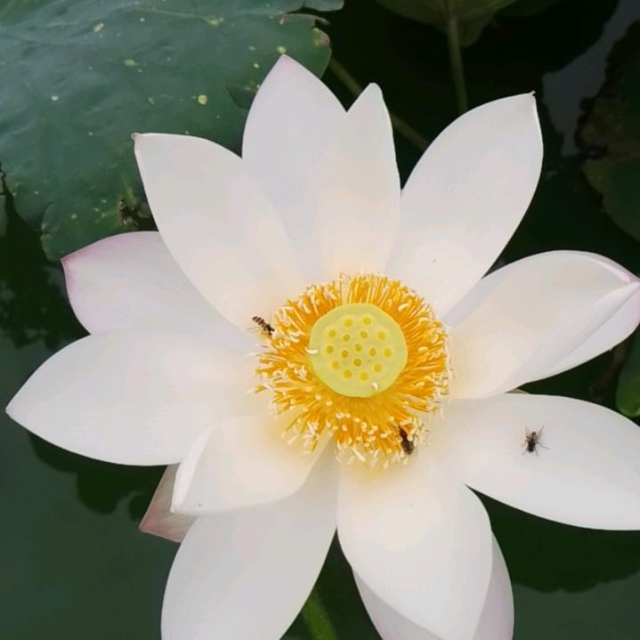 相亲相爱的一家人