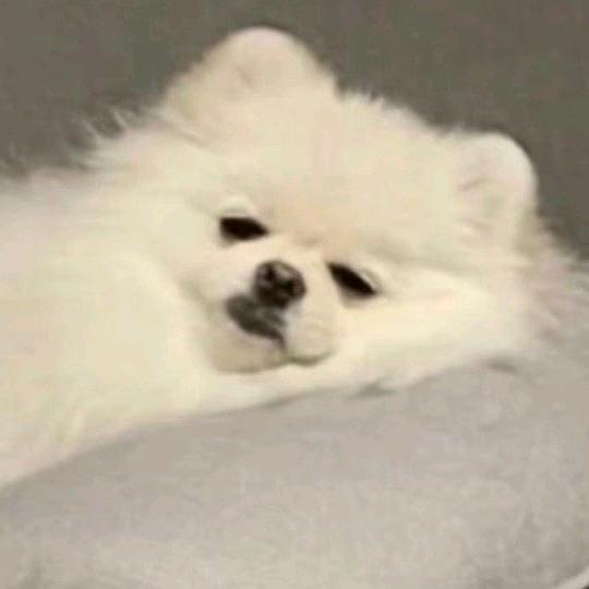 沂逍遥