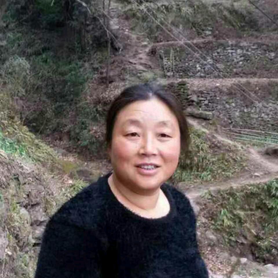 彭琼华