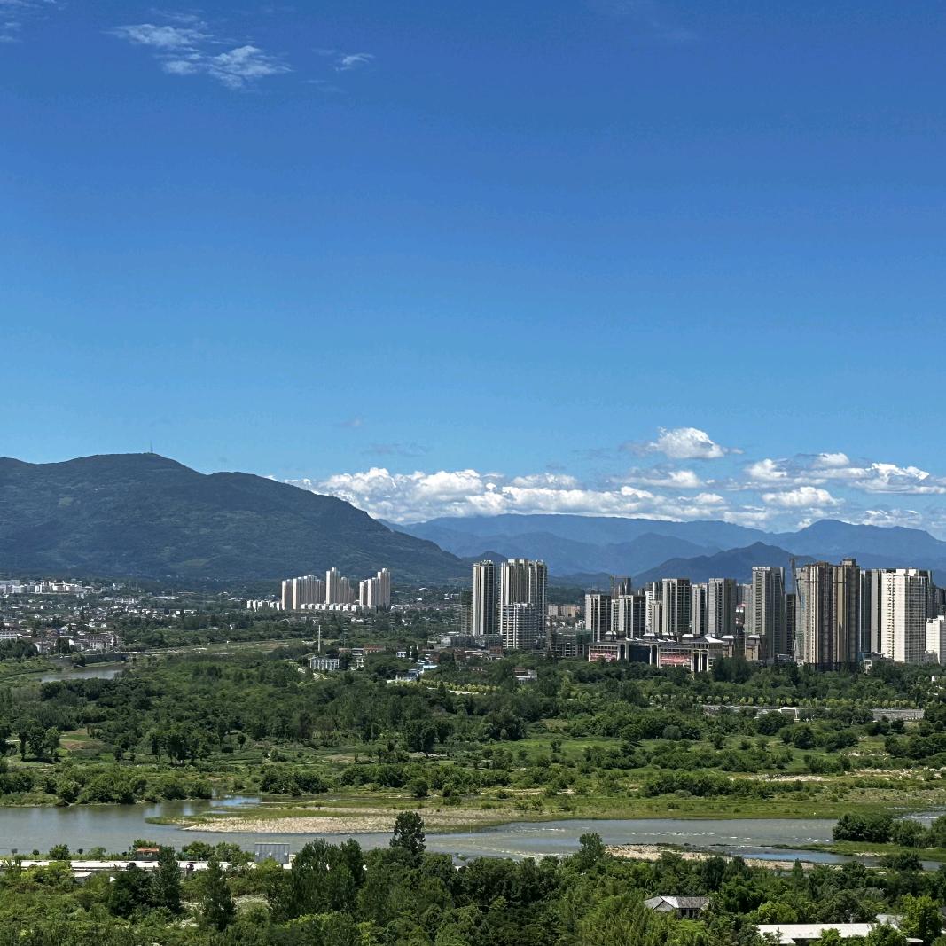 阿东东