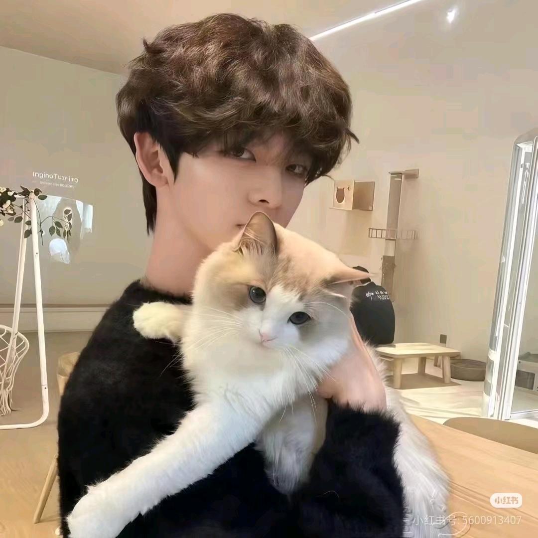 @海边听Jay