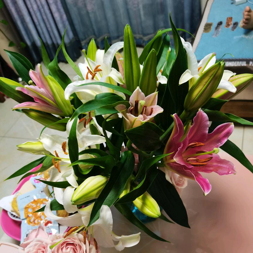 黄家大小姐