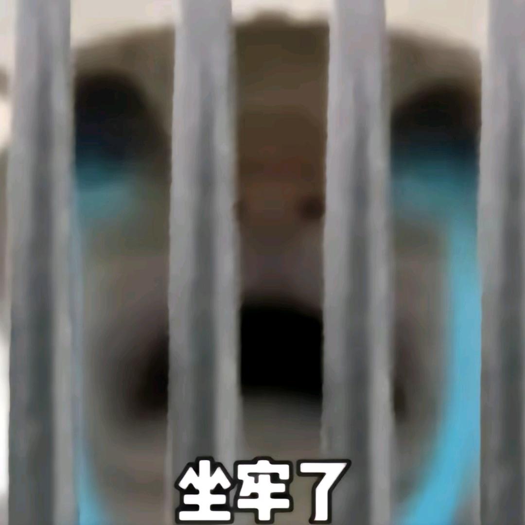 免费上星