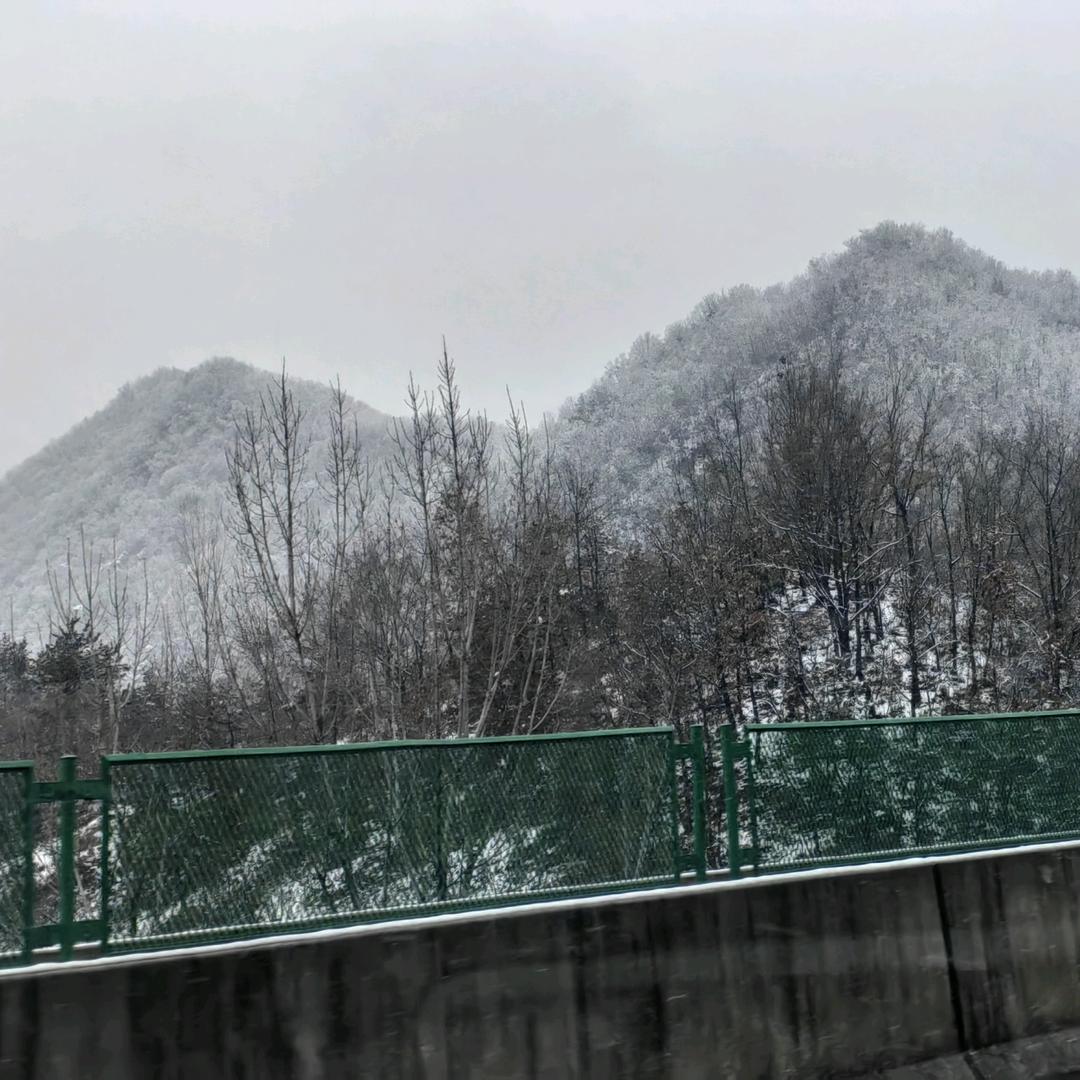 小怪兽说不疼