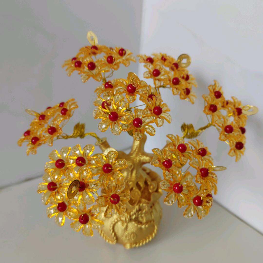㞮孞🌻🌻