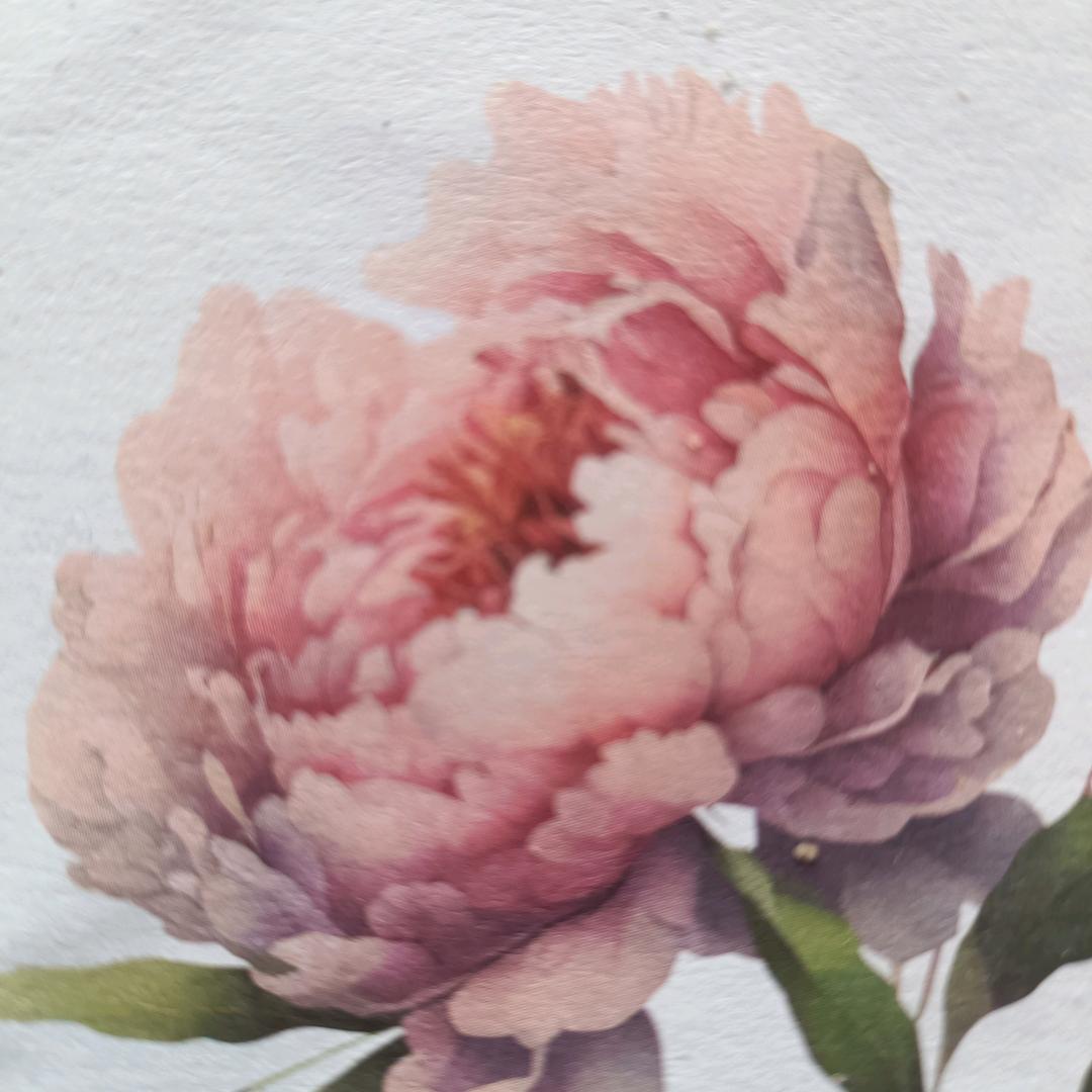 祖国卫士（506）