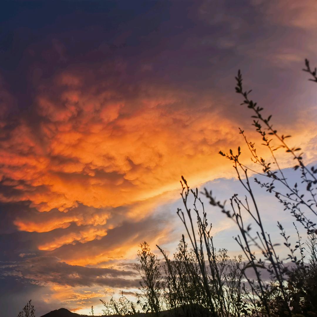 大丁同志跑不快