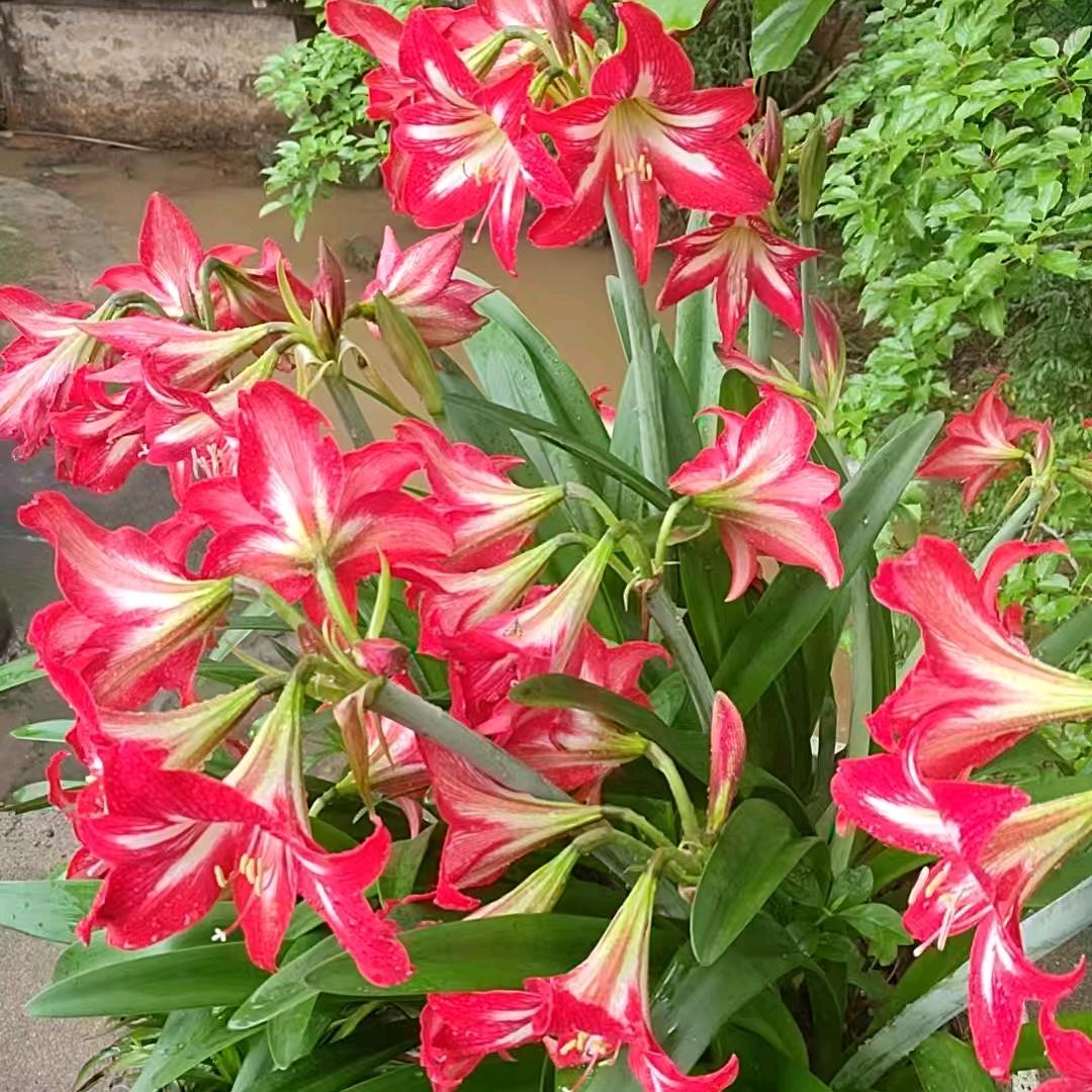 患得患失