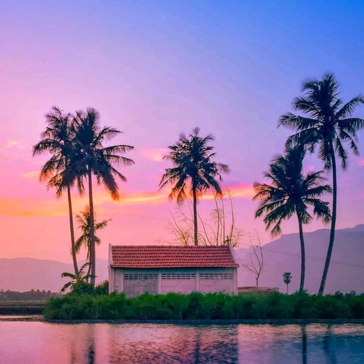 沉默不语