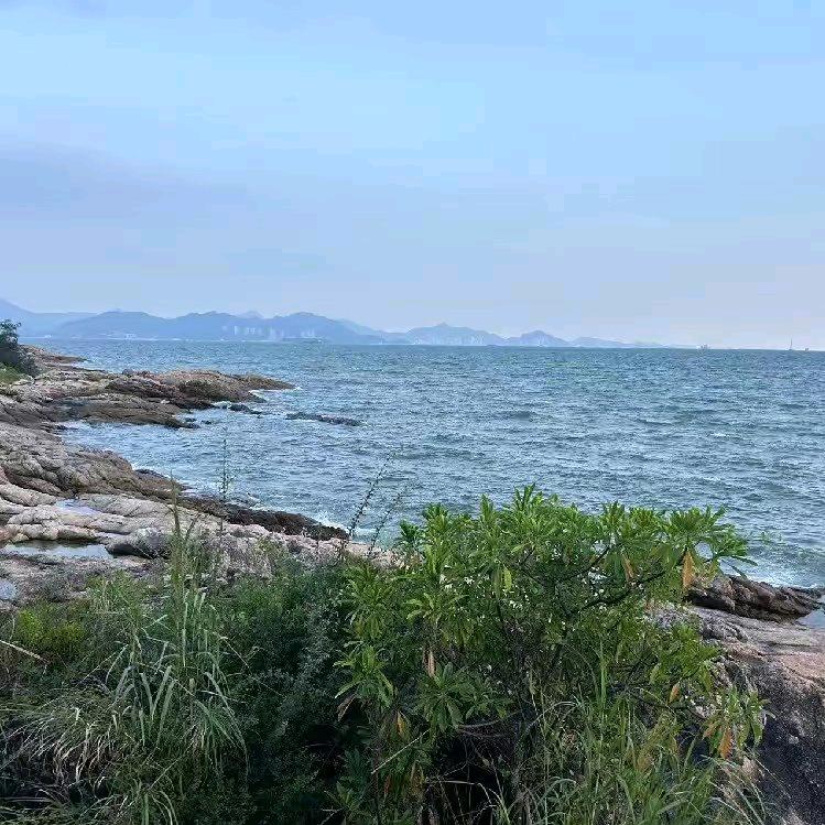 ℒᎭ会ℯ⃝飞💞的鱼ꦿ࿐