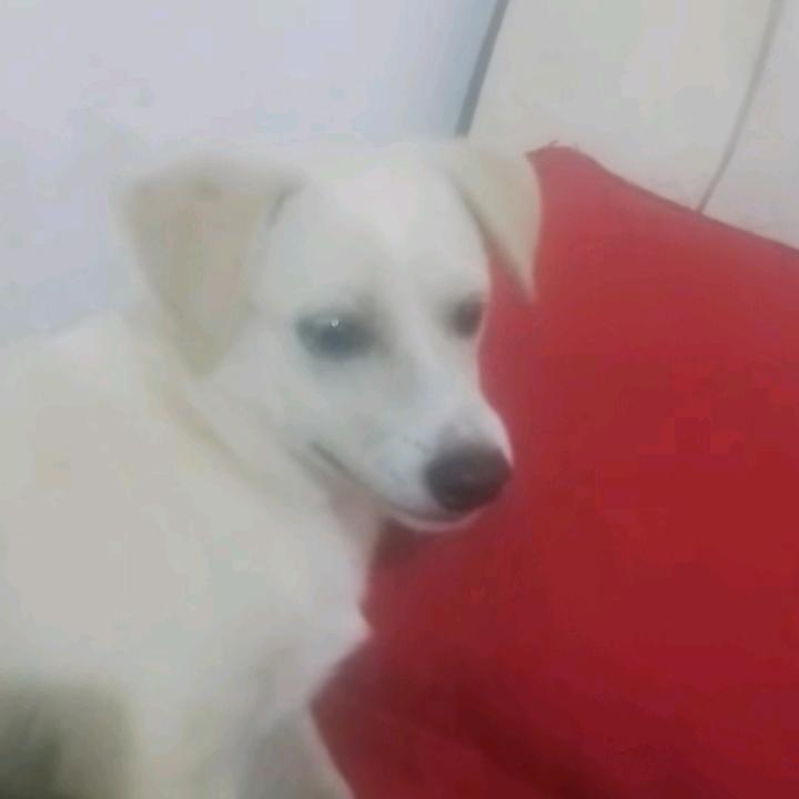 😬(≧∇≦)/