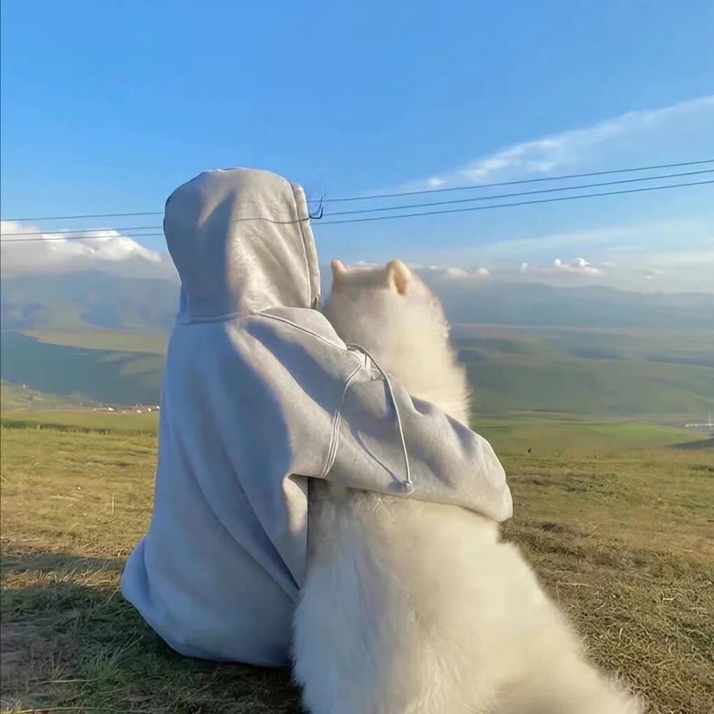 在等秋