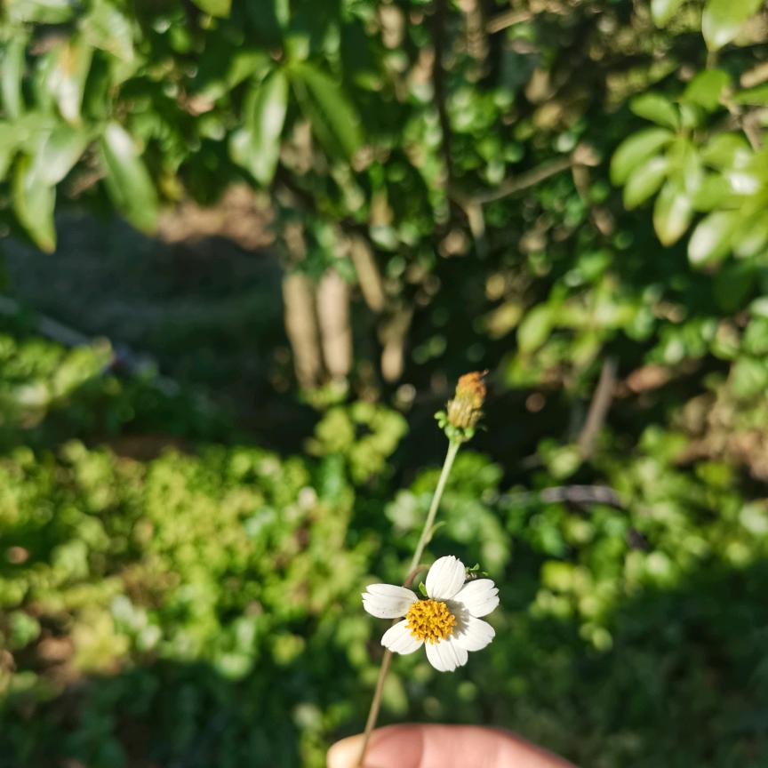 坤丽源美容·养生