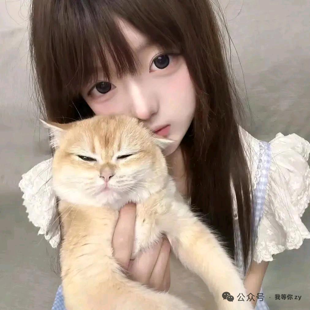 一只烟烟