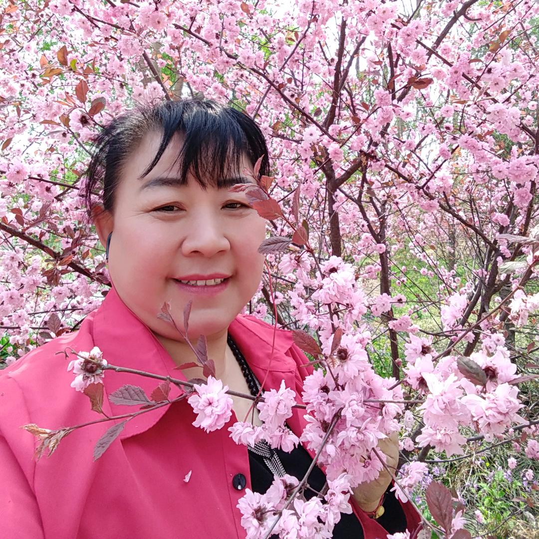 🍒🍒梅花🍎🍎