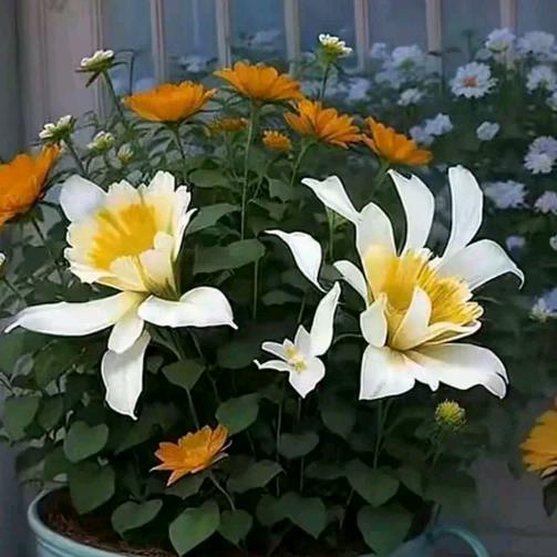 莉姐（找回自信）