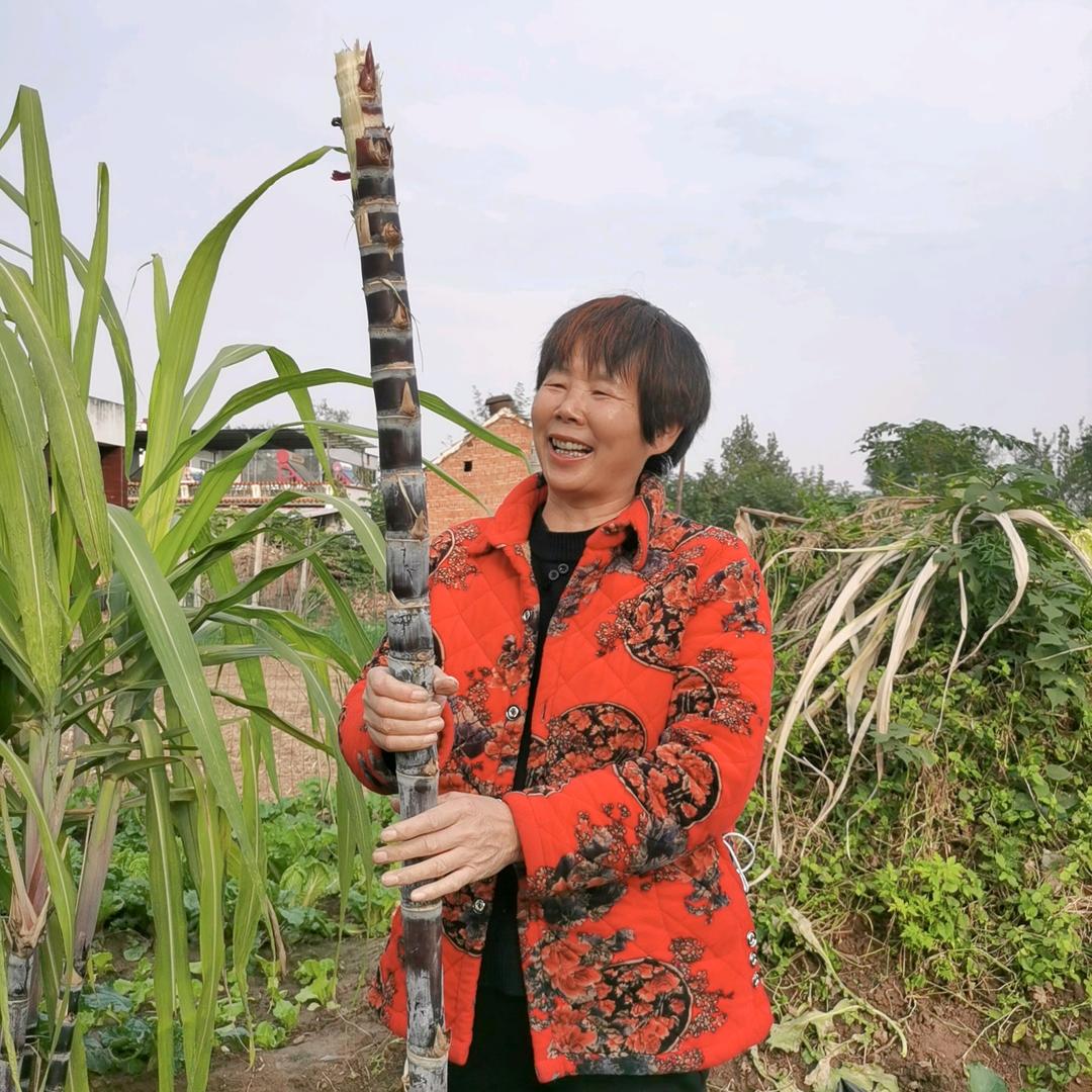 大姨的慢生活