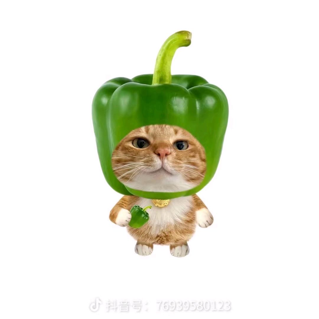 会熬夜的小薯条