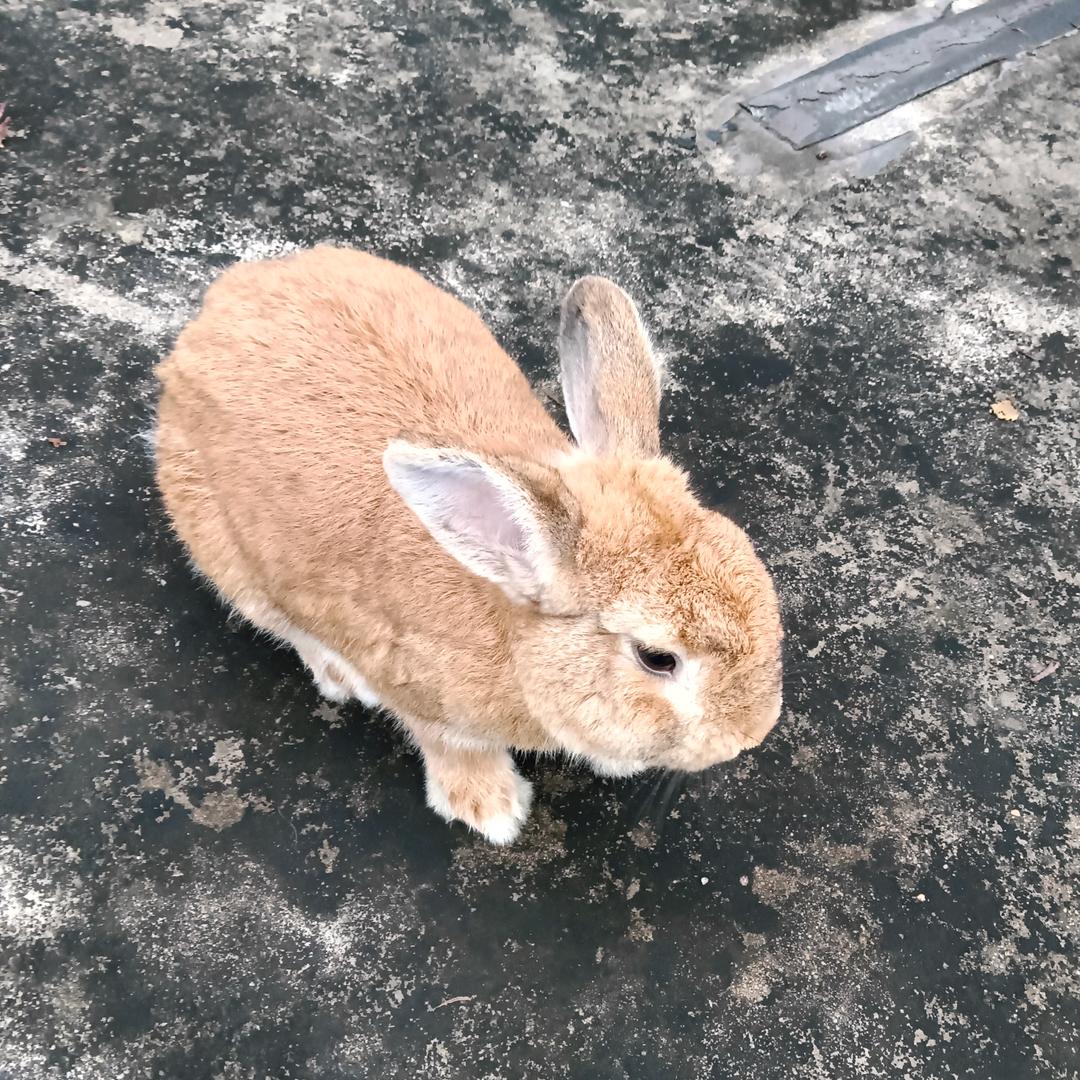 2025选择了你￥毛爷爷🤝