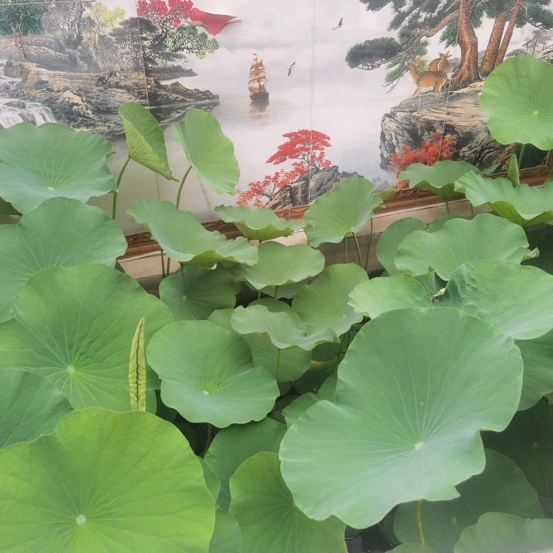 kk的小生活
