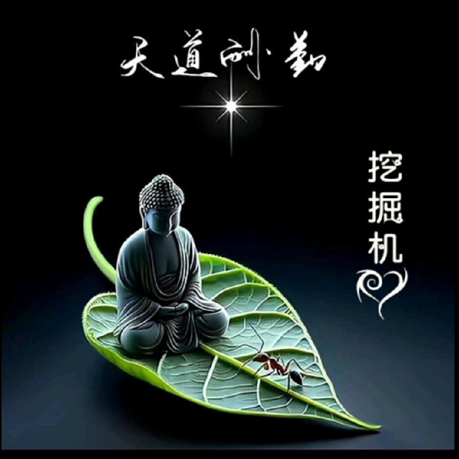 挖掘机王溢