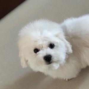 睡多了想似